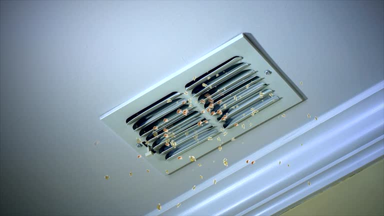 Best Local Air Duct Cleaning Services  in East Ridge, TN
