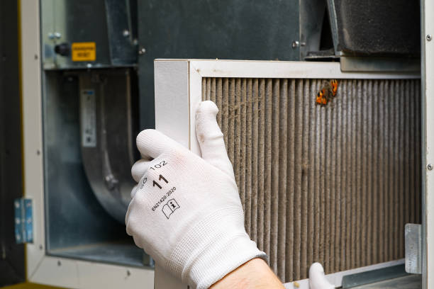 Air Duct Mold Removal in TN